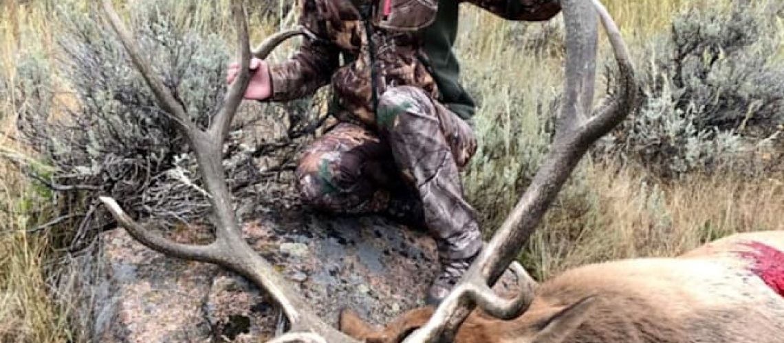 elk-hunting-wyoming